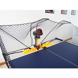 双蛇乒乓球发球机图片-智能乒乓球发球机厂家