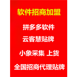 拼多多无货源模式 拼多多店群软件贴牌代理 工作室辅助软件缩略图