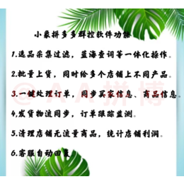 拼多多店群软件拼上拼截流软件代运营工作室加盟培训