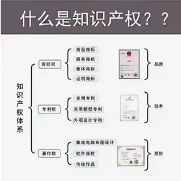 商标企标注册和国内外公司注册申请的程序详情