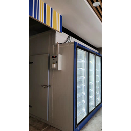 郑州商用大容量饮料柜步入式冰柜多功能后补式冷库缩略图