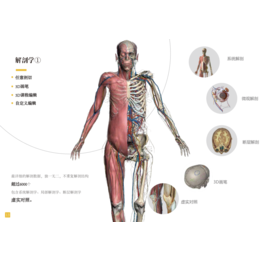 3DBody解剖学虚拟实验系统