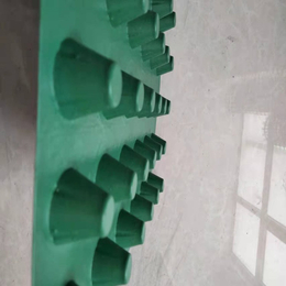 车库屋面绿化塑料排板排水滤水防渗隔热12mm导水板现货厂家