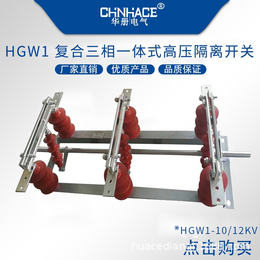 HGW1-10/800-1000-1250A复合一体隔离开关