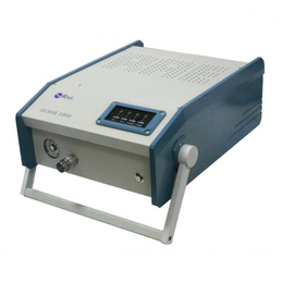 美国华瑞GCRAE1000 PGA-1020便携式气相色谱仪