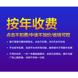 网络推广-91搜霸-网络推广公司