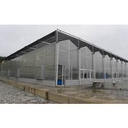 丹徒区建造阳光板温室-齐鑫温室大棚建造案例