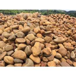 河源石场出售大量一般吨位黄蜡石 好品质用石说话