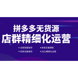 小象软件一件采集蓝海产品同步库存无货源网店加盟