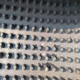河南洛阳阻根防穿刺塑料排水板疏水板黑色卷材凹凸型排水板厂家