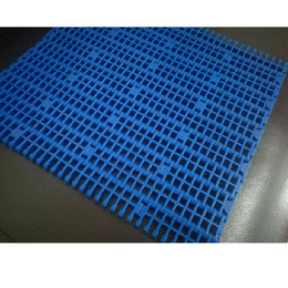 1000平格塑料网带缩略图