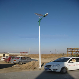 郑州太阳能路灯公司  郑州太阳能路灯灯杆 华朗科技缩略图