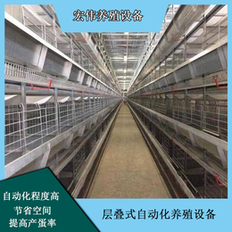 规模化养鸡所需设备 家禽养殖机械厂家 荥阳宏伟
