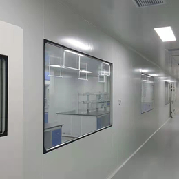 固定观察窗双层中空玻璃铝合金实验室药厂无尘车间走廊净化固定窗