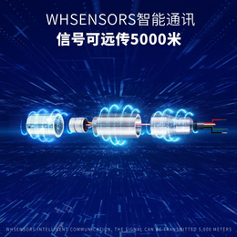 WP435A压力传感器-WH311