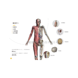 安徽耀坤3DBody解剖学虚拟实验系统