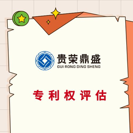 漳洲市专利商标实缴评估股权价值评估知识产权评估
