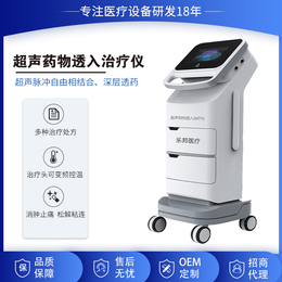 乐邦精选ABE-CT2型中医超声透药治疗仪 超声脉冲结合