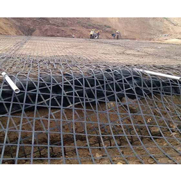 合肥格栅-安徽江榛材料-塑料土工格栅