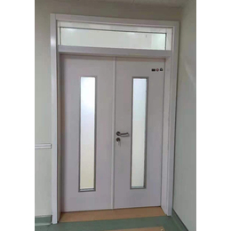 呼伦贝尔定制钢质门新型-定制-净化门