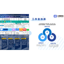 店群项目 精细化运营教学 软件贴牌无限开招加盟