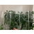 平邑透明波浪瓦用于特色花卉大棚  园林顶棚缩略图1