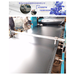 合创格瑞鑫PE板材生产设备PE板材生产线
