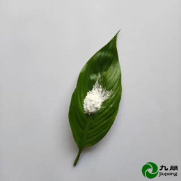 九朋透明填充剂30nm高纯氧化镁M0杭州