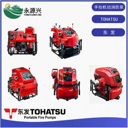 东发VE1500型手抬机动消防泵  微型消防车消防泵