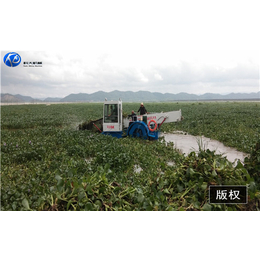 积玉口镇捞草船-青州科大环保-河里水下割草机捞草船