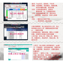 拼多多无货源店群管理系统小象淘上拼一键铺货软件定制贴牌加盟
