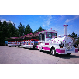 行驶在童话田园里的梦幻轨道小火车卡通造型可爱引人 可载客多人