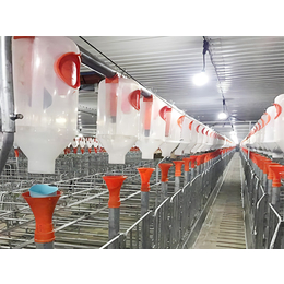 201直驱塞盘主机塞盘料线塞盘式自动饲喂系统猪用养殖设备