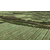 防草地膜供应商-爱卫农(在线咨询)-周口防草地膜缩略图1