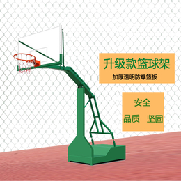 汕尾市城区室内外标准移动户外篮球架子健身器材厂家代理篮板缩略图