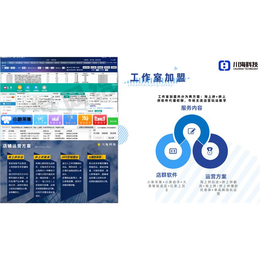 临沂店群软件招商代理价格