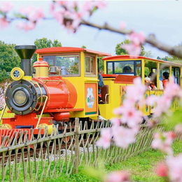 轨道小火车 轨道铺设 乡村旅游观光风景 金耀游乐