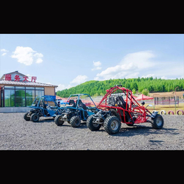 越野卡丁车 大型双人越野车 山林越野不怂 jy-65