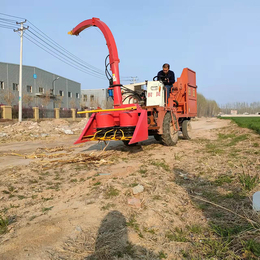 皇竹草全株收获机 玉米秸秆青储饲料收割机德州厂家