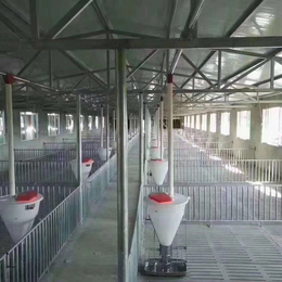 猪舍自动化喂料系统养猪设备料线自动下料设备自动化料线