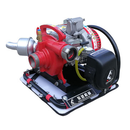 QSB11/2.4背负式森林消防泵 往复式手动水泵