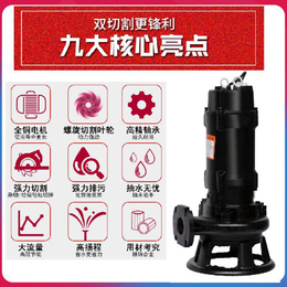 临泉泵业污水泵定制-切割式污水泵视频-张家口切割式污水泵