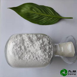 30nm3Y钇稳定氧化锆陶瓷用粉部件CY-R30Y3