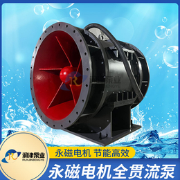 900QGWZ-155KW湿式潜水全贯流泵厂家 润津泵业