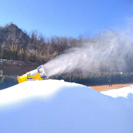 户外全自动降雪机器 国产炮筒式大功率造雪机 造雪机报价