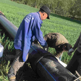 钢丝网骨架管 园林pe灌溉用管160规格齐全 豪家管业供应