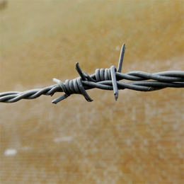 河北镀锌刺绳厂家供应哈尔滨有刺铁丝网长春铁蒺藜围栏
