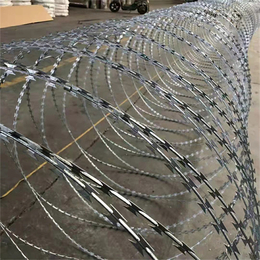 河北刺丝滚笼厂家供应新疆镀锌滚筒围墙防盗刺网
