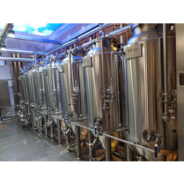 日产2000升精酿啤酒设备生产线 鲜啤酒设备一套价格