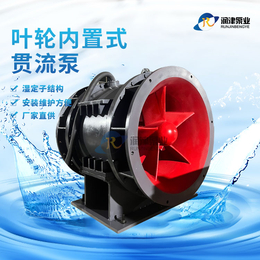供应QGWZ全贯流潜水泵 湿定子结构 安装维护方便